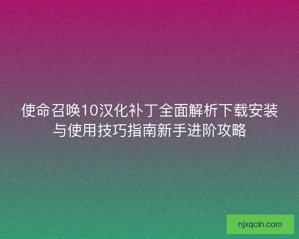 使命召唤10汉化补丁全面解析下载安装与使用技巧指南新手进阶攻略