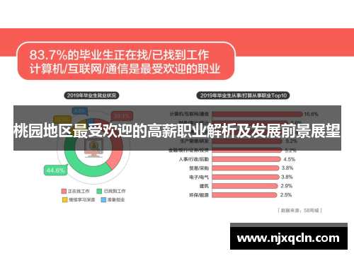 桃园地区最受欢迎的高薪职业解析及发展前景展望